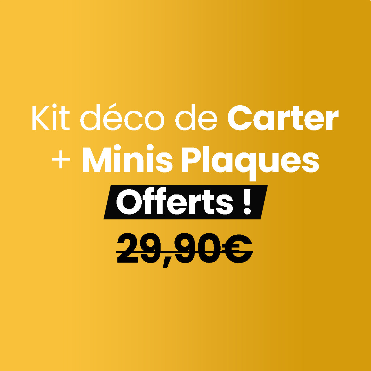 x2 bonus offerts (au lieu de 29,90€)