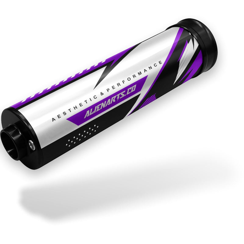 Cartouche SIAM Violet